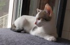 Mitty (2)